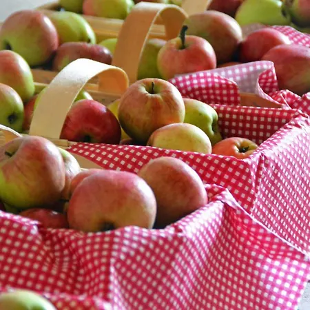 בית חווה Lainthalerhof אובראודורף